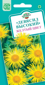 Девясил высокий  купить