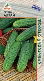 Огурец Алтай 10шт купить