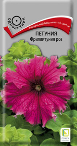 Петуния Фриллитуния роз купить