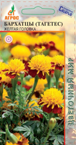 Бархатцы Жёлтая головка купить