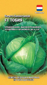 Капуста Тобия F1  купить