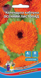 Календула Осенний листопад каблуна  купить