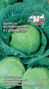 Капуста Спринтер F1 0 купить