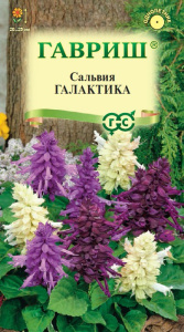 Сальвия Галактика, смесь карликовая купить