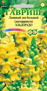 Львиный Зев Эльдорадо  купить