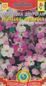 Маттиола двурогая Ночная Фиалка  купить