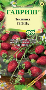 Земляника Регина купить