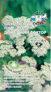 Тысячелистник Доктор лекарственный  купить