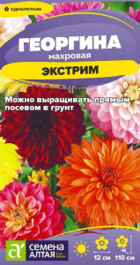 Георгина Экстрим  купить