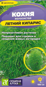 Кохия Летний кипарис купить