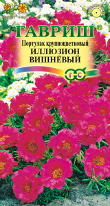 Портулак Иллюзион вишневый  купить