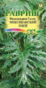 Филодендрон Селло Мексиканский змей  купить