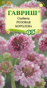 Скабиоза Розовая королева махр. купить