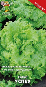 Салат Успех  купить