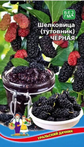 Шелковица (тутовник) Чёрная  купить