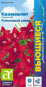 Ипомея квамоклит Рубиновый ковер перистый  купить