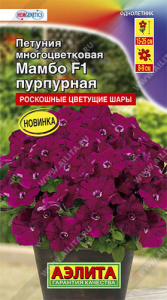 Петуния Мамбо F1 пурпурная многоцветковая купить
