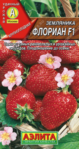 Земляника Флориан F1 купить
