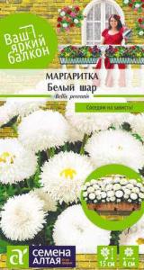 Маргаритка Белый Шар купить