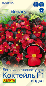 Бегония вечноцветущая Коктейль F1 водка Benary купить