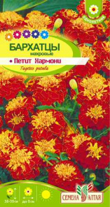 Бархатцы Петит Хармони махровые  купить