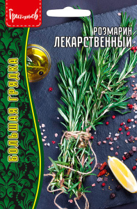 Розмарин Лекарственный купить