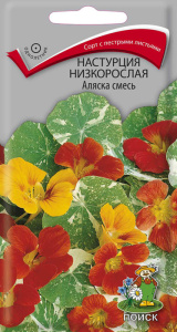 Настурция низкорослая Аляска смесь купить