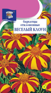 Бархатцы Веселый Клоун откл. купить