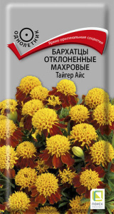 Бархатцы Тайгер Айс откл. махр. купить