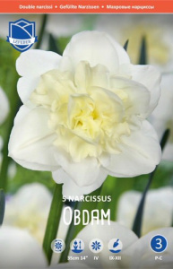 Нарцисс махровый "Obdam" (1х5шт) купить