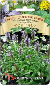 Мелисса турецкая (змееголовник) Горгона  купить