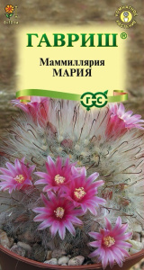 Маммиллярия Бакеберга (Кактус) Мария купить