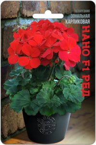 Пеларгония карликовая Нано F1 Ред  купить