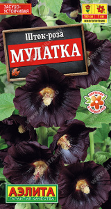 Шток-роза Мулатка купить