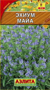 Эхиум Майа  купить