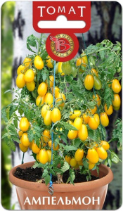 Томат Ампельмон  купить