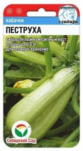 Кабачок Пеструха  купить