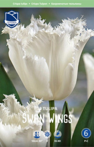 Тюльпан бахромчатый "Swan Wings" (1х10шт) купить