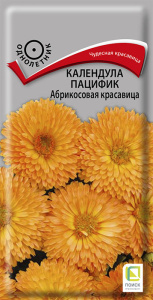 Календула пацифик Абрикосовая красавица купить