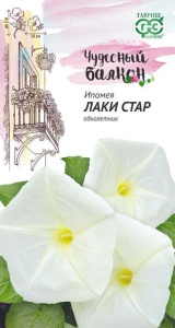 Ипомея ночная Лаки Стар  купить