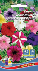 Петуния Делюкс Беддинг многоцветковая купить