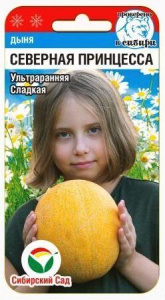 Дыня Северная принцесса  купить