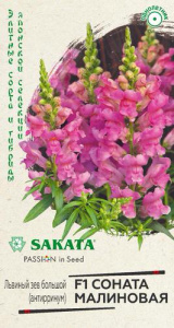 Львиный зев Соната малиновая F1  купить