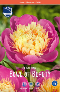 Пион Bowl of Beauty /1шт купить