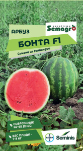 Арбуз Бонта F1  купить
