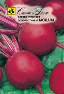 Свекла Модана  купить