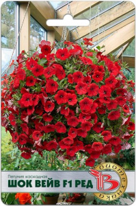 Петуния Шок Вейв F1 Ред каскадная купить