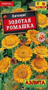 Антемис Золотая ромашка купить