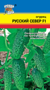 Огурец Русский север купить
