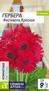Гербера Фестиваль Красная  купить